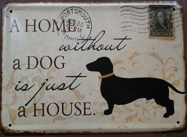 Placa DOG